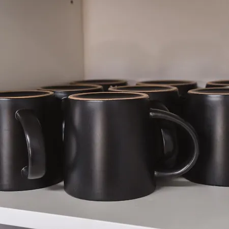 公寓 Rhina 劳芬博格