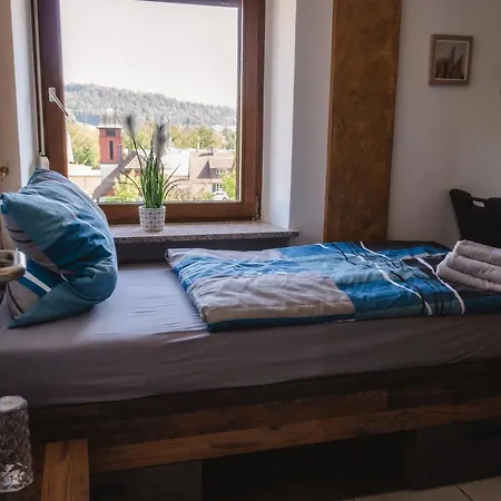 公寓 Rhina 劳芬博格